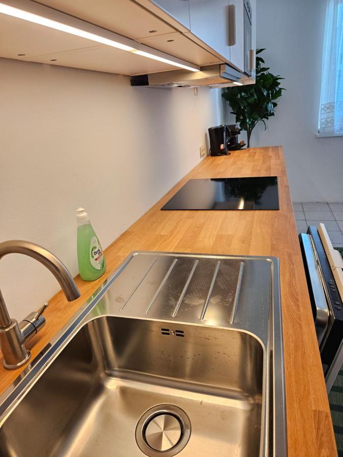 City Oasis With Brand-New Kitchen 1Br Daire Viyana Dış mekan fotoğraf